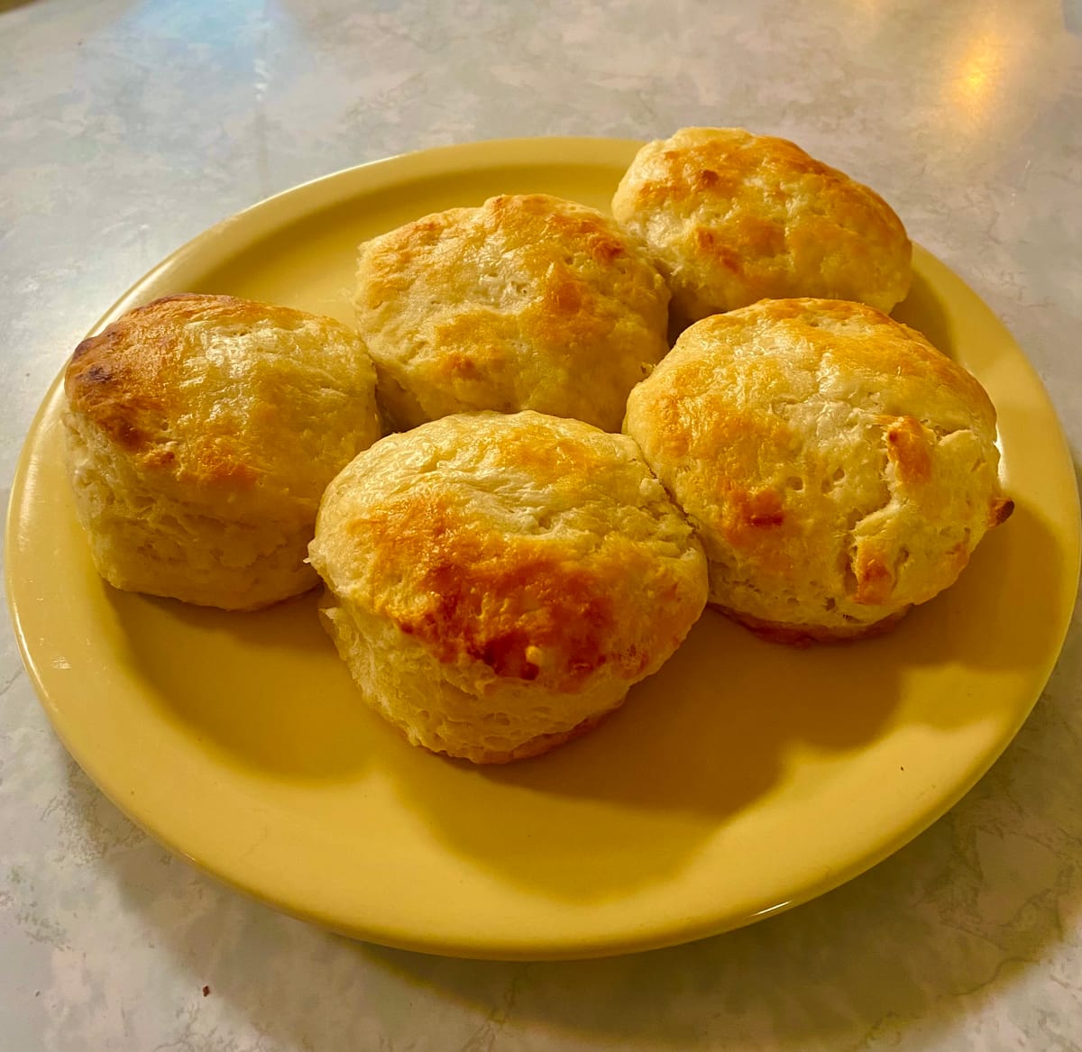 š I Am the Official Biscuit Making Champion of the World⦠For Now