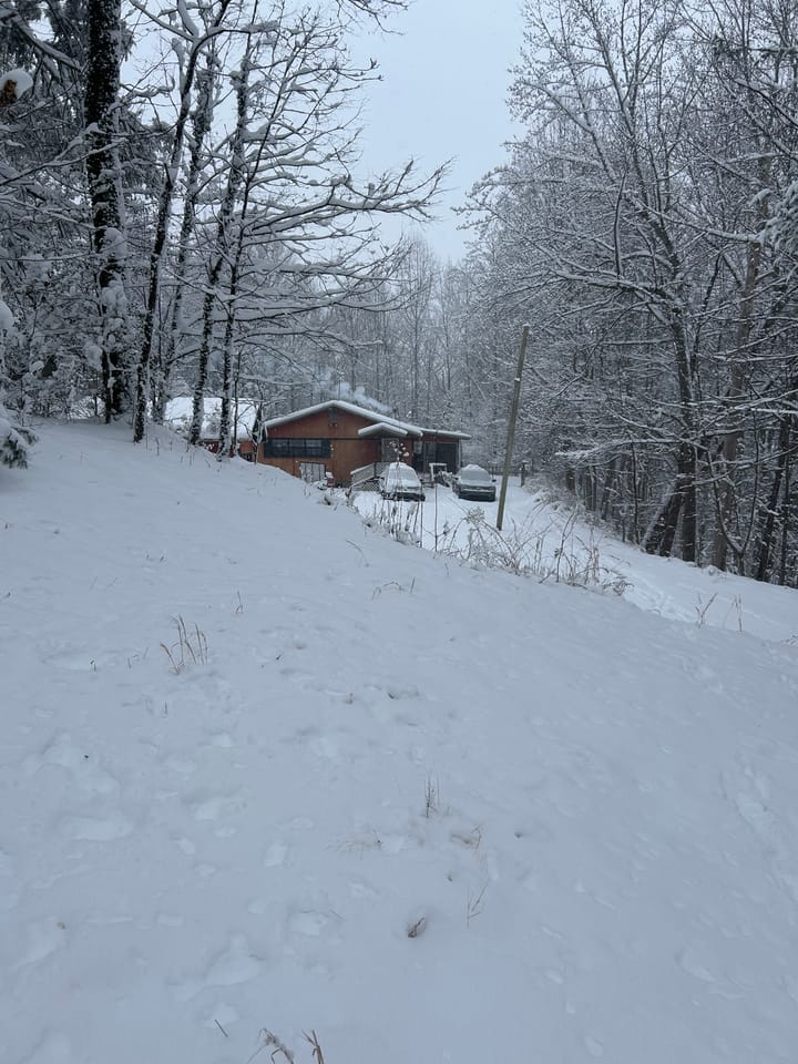 Snow Angels, Roosters, and Other Winter Lessons